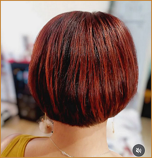 Screenshot20250205-135605